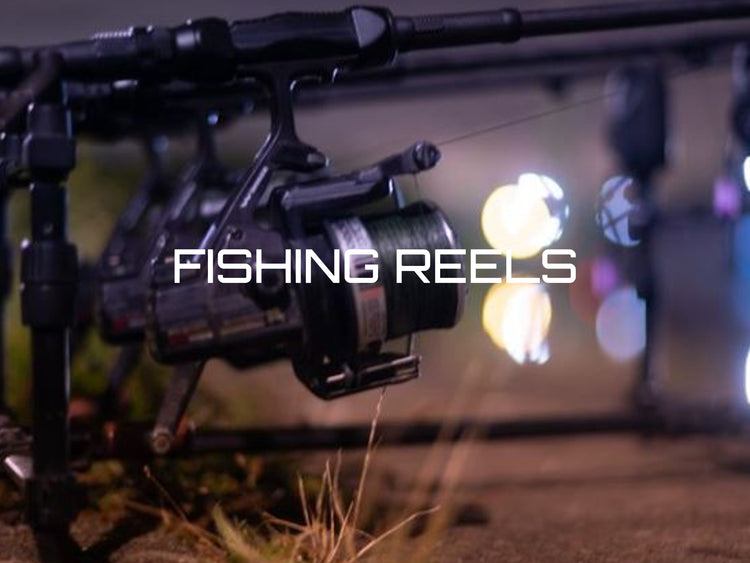 Fishing Reels