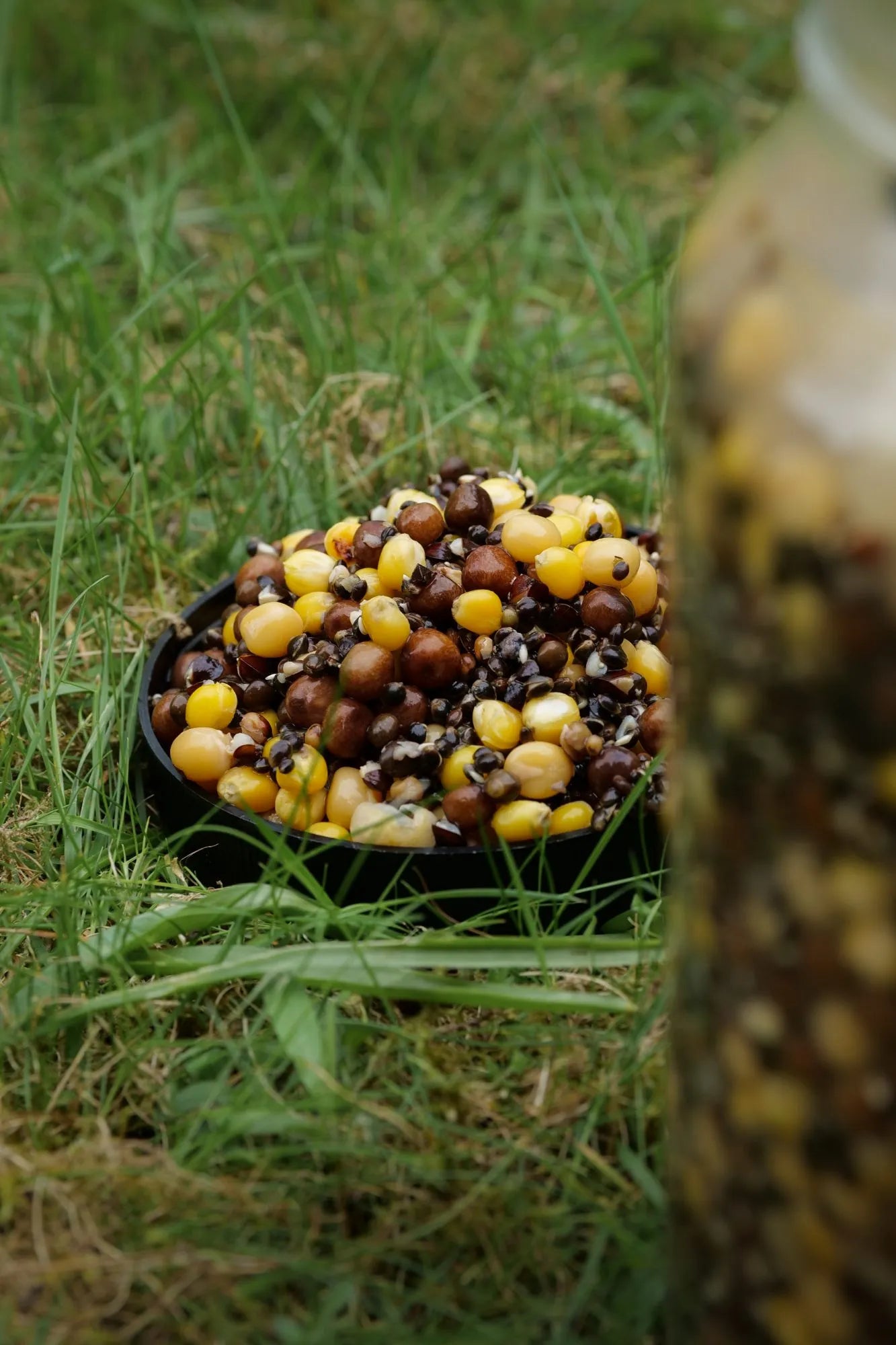 Parker Baits - Sexy Spod Mix – Particle Shelf Life