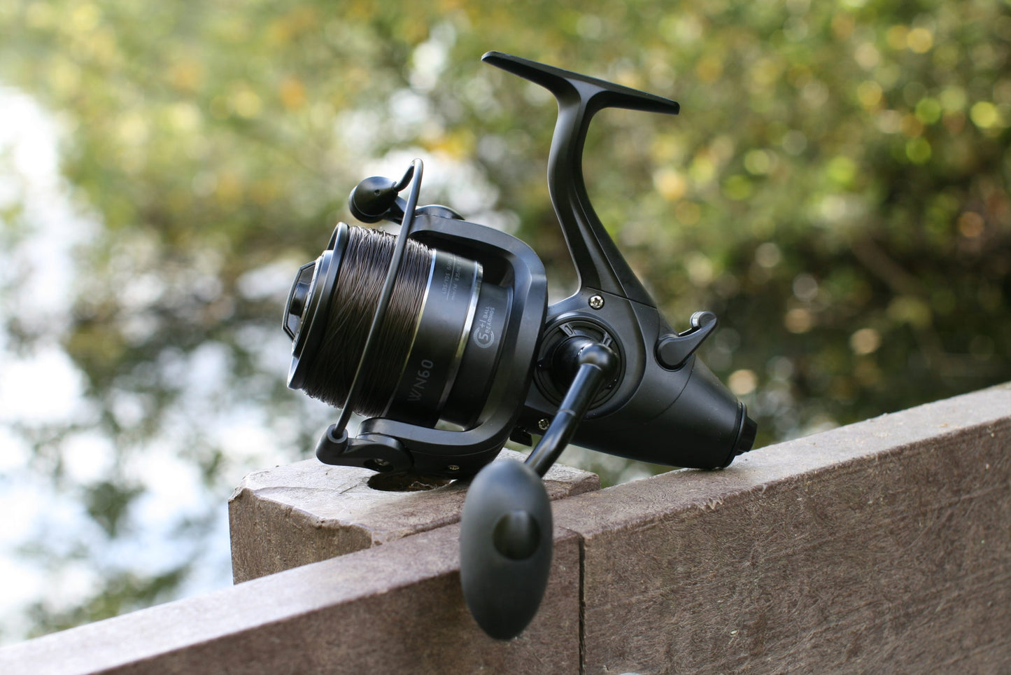 Fladen - Carp On WN Freespool Reel