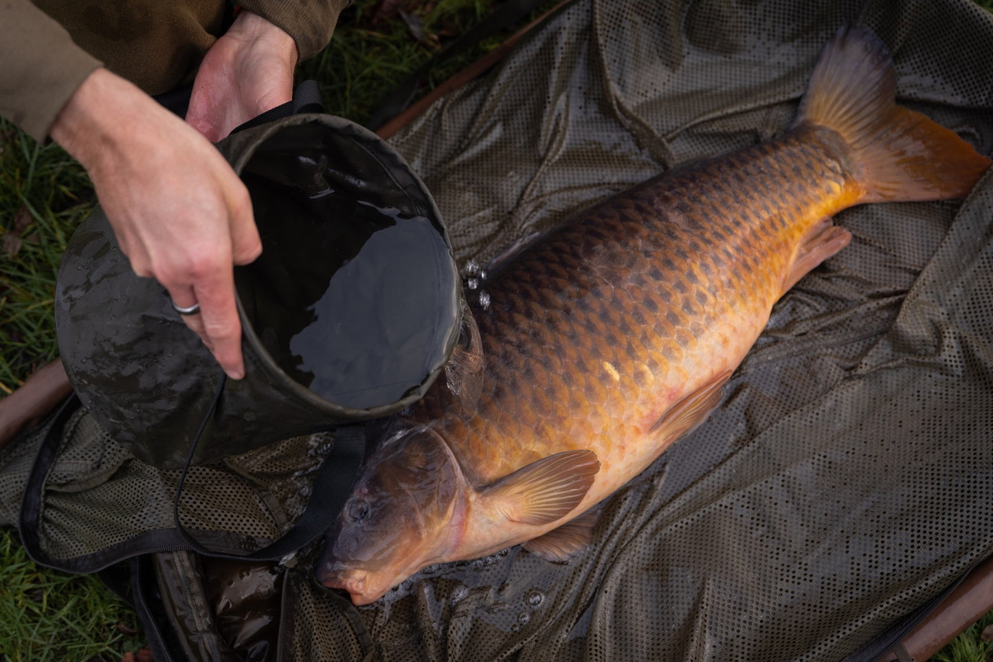 Korda - Compac Water Bucket