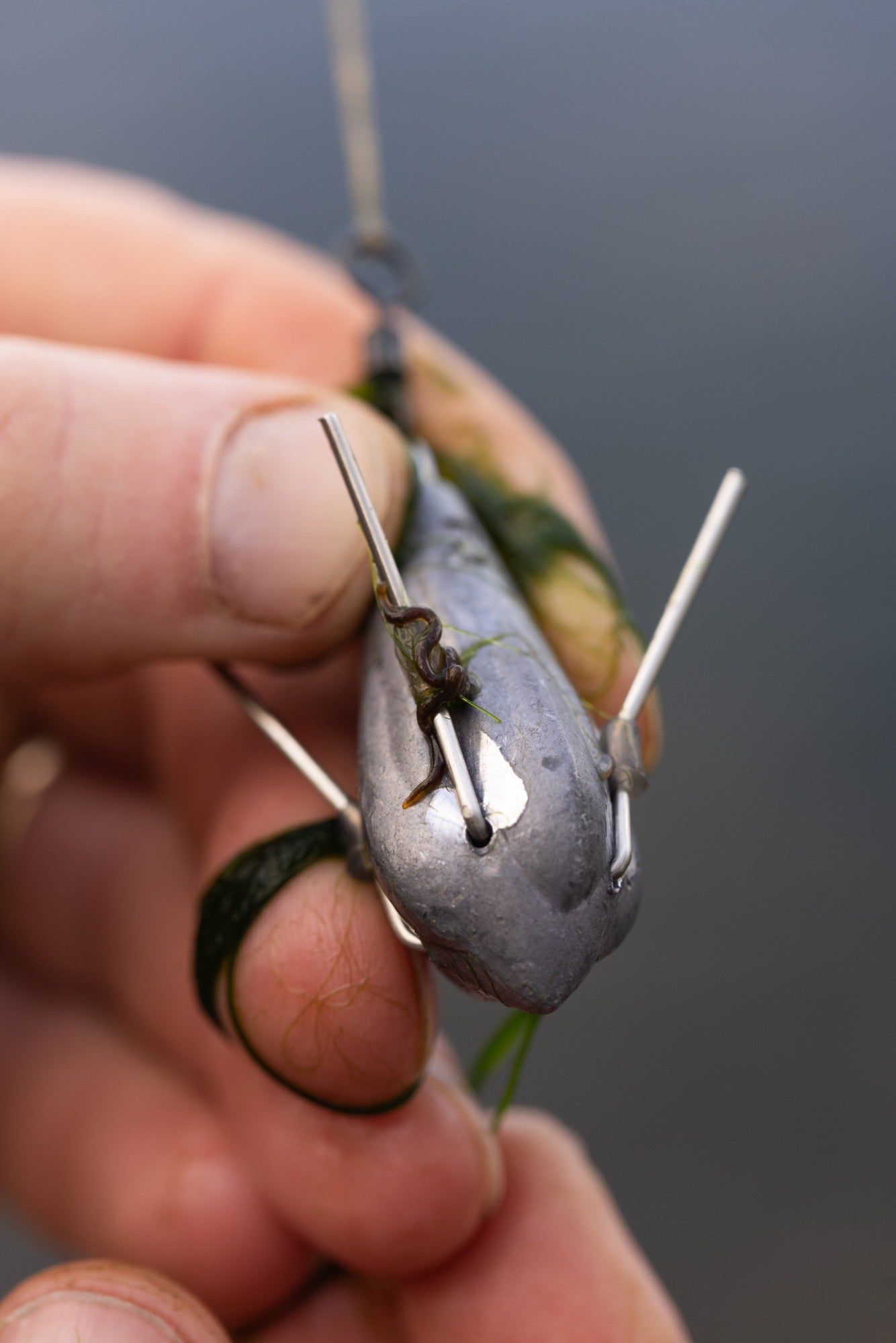 Korda - Grapple Lead